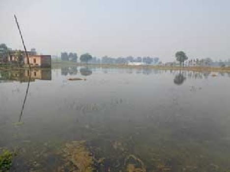 Water filled in farm