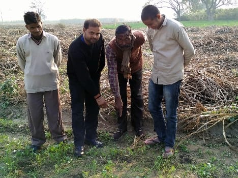 Used near Bijua Found tiger pug marks