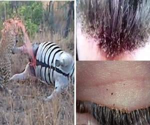 most nauseating videos 2015