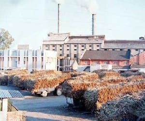 FIR loged against Anamika Sugar Mill GM , DGM. 