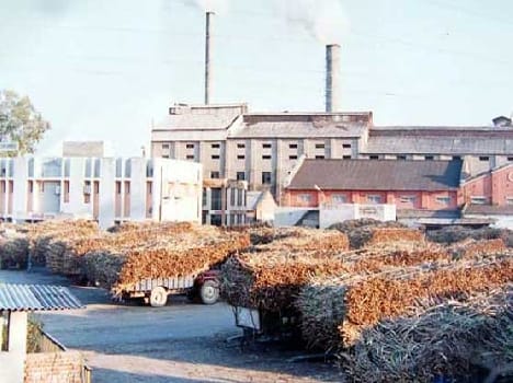 Reports of agriculture in Meerut
