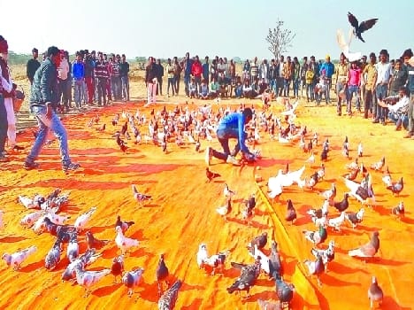 craze of kulkulbazi is going down