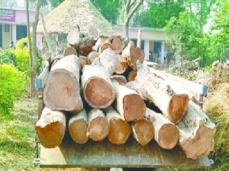 Stolen tractor-trolley full of wood caught