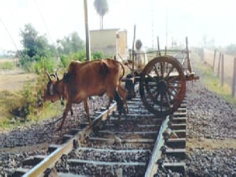 From the railroad tracks leading a cart