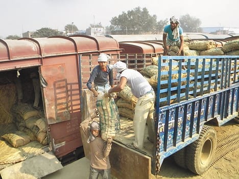 In Chhattisgarh, stealing the thunder prepare potato Frrukabadi