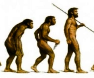 ancestor of Homosapien.