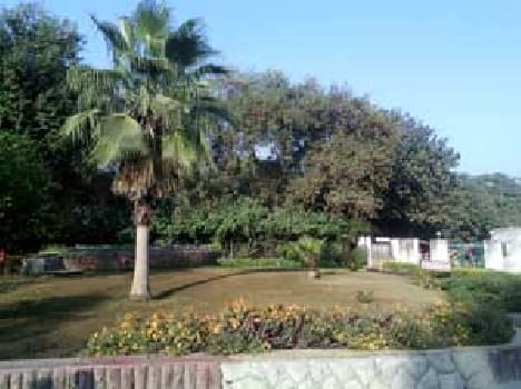 Tourism is tremendous potential treasure Sitamarhi