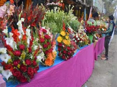 New year celebration