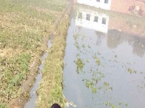 Hundreds of acres of potato crop water