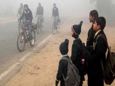 People suffering from fog and cold