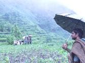 Farmers seeking crop compensation