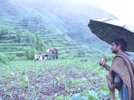 wild animal problem for farmer become issue in panchayat election.
