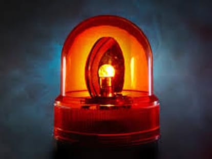 positive news roundup of 2015