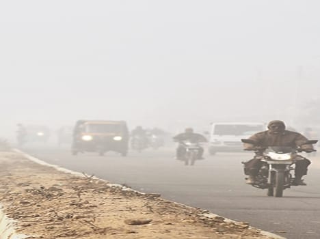 Fog havoc , grew cold