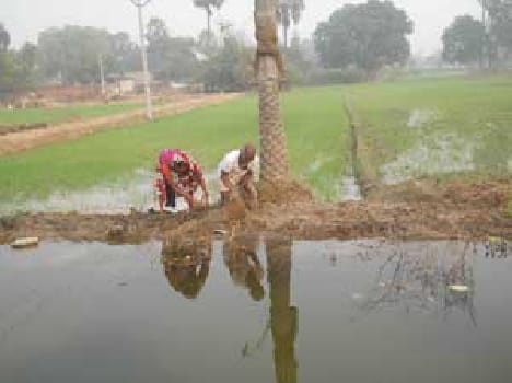 Several acres of agricultural land submerged in water leaving Akhop Minor