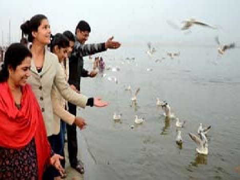 allahabad news