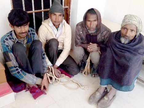 40 kg of beef Four arrested