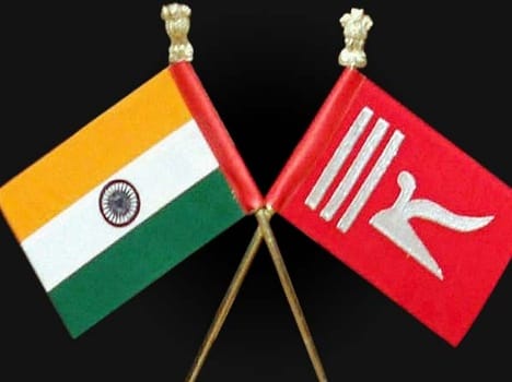 Princely flag case tranfer