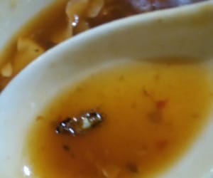 cockroach found in hot and sour soup