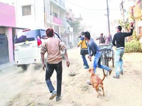 panchayat chunav meerut