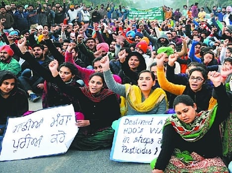 agriculture. college, protest, continue