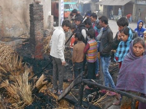 Cattle scorched by fire, lighting accessories