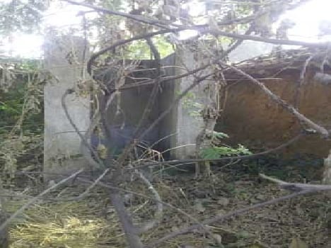 Lohia from disused toilet