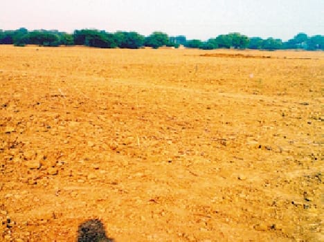 Tales of drought are evident barren farm