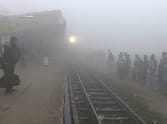 train late fron havy fog