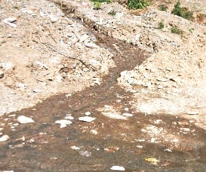 IPH minister vidya stokes hits out at officers over issue of ashwani khad polluted water supply.