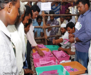 Rehearsal before panchayat elections 