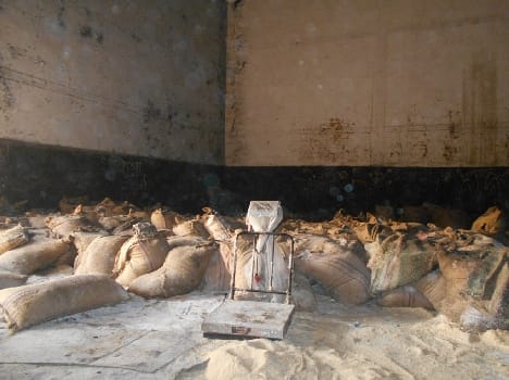 Thousands of quintals of sugar mill waste Belrayan Chinese