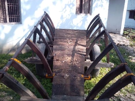 Rosewood recovered from Trikaulia