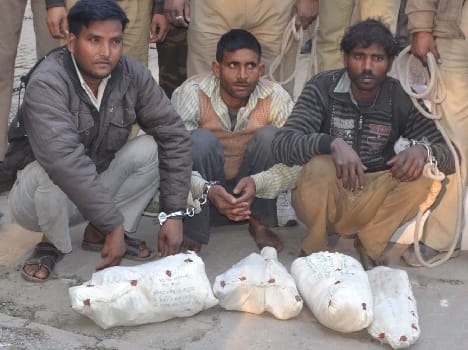 Tiger caught in killing three The accused sent to jail