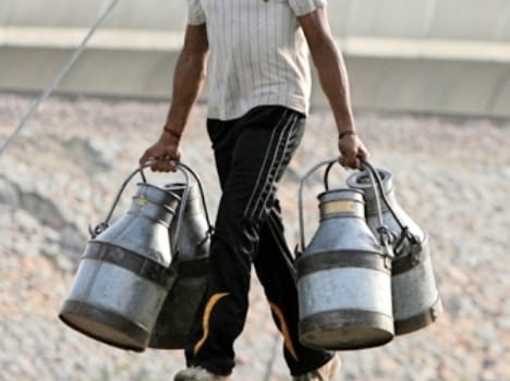 omg story of milkman in una himachal pradesh.