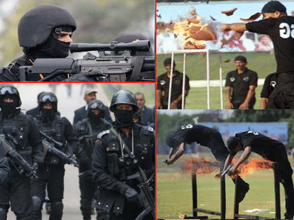 Know how many operations syccessfully conducted by NSG commandos.