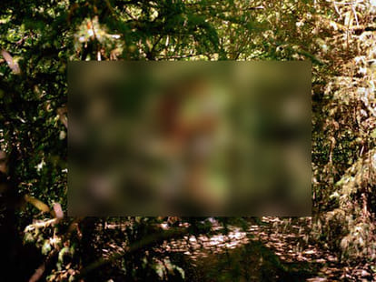 Teased about ‘gay act’ school topper sets himself afire