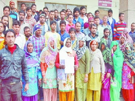 Scavengers in Collectorate performance