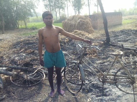A fire in sheds Three cattle burnt alive