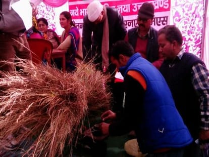 raija devi won grass cutting competition, get silver crown.