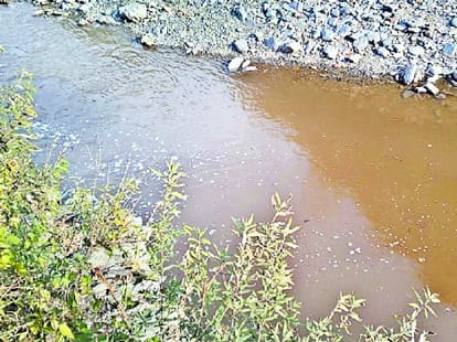 contaminated water supply from ashwani khad