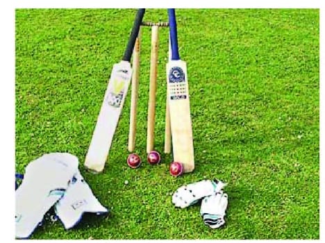 cricket tounament organised 
