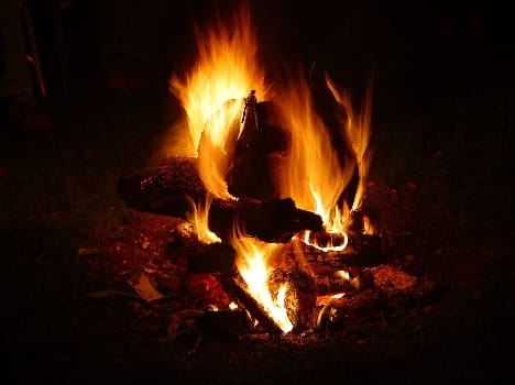 girls, lohri, mela, today