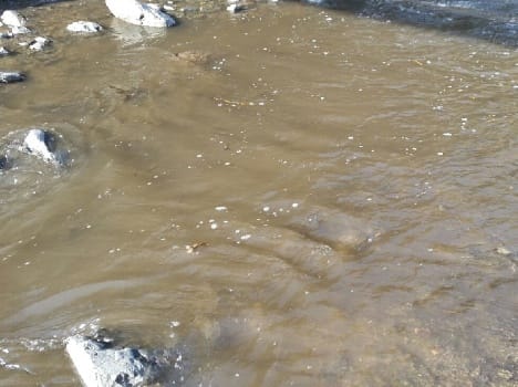 iph filed status report in high court over polluted water supply in shimla.