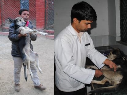 rahat organization doing good work on dogs population control.