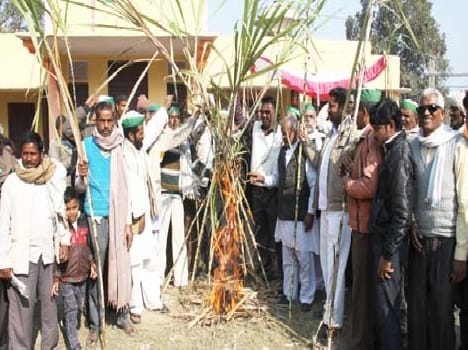 former protest by set fire in suger cane