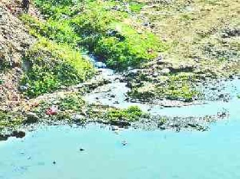 The water was contaminated with sewage Sai