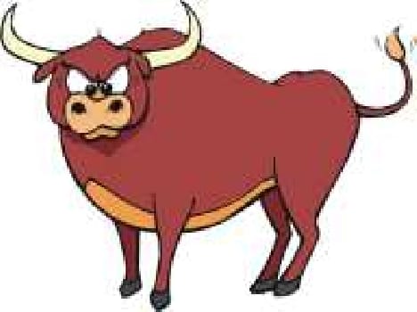 Accident due to stray cattle, one dead