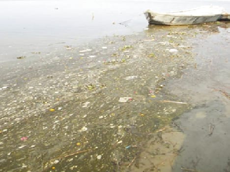 Ganga maiya on dialysis!