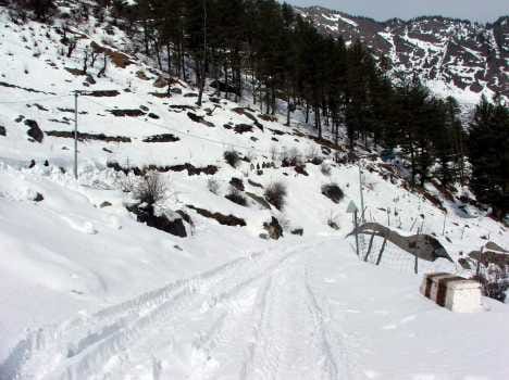 snowfall in patnitop